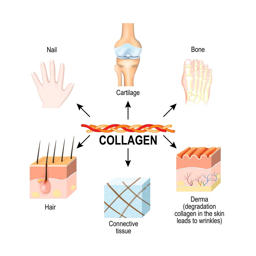 Collagen Tot Cho Xuong Khop Nhu The Nao