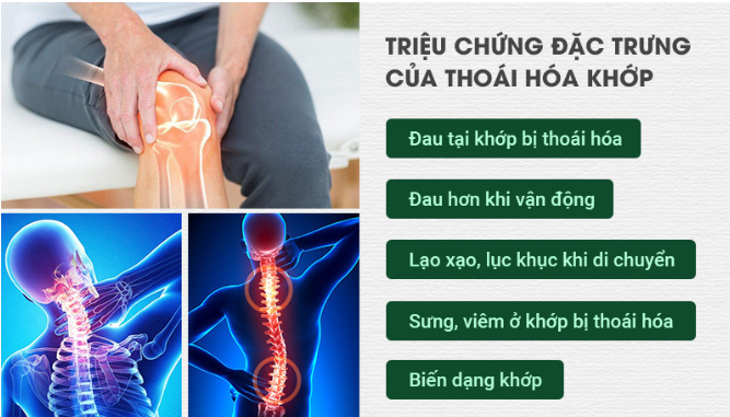 Trieu Chung Thoai Hoa Khop