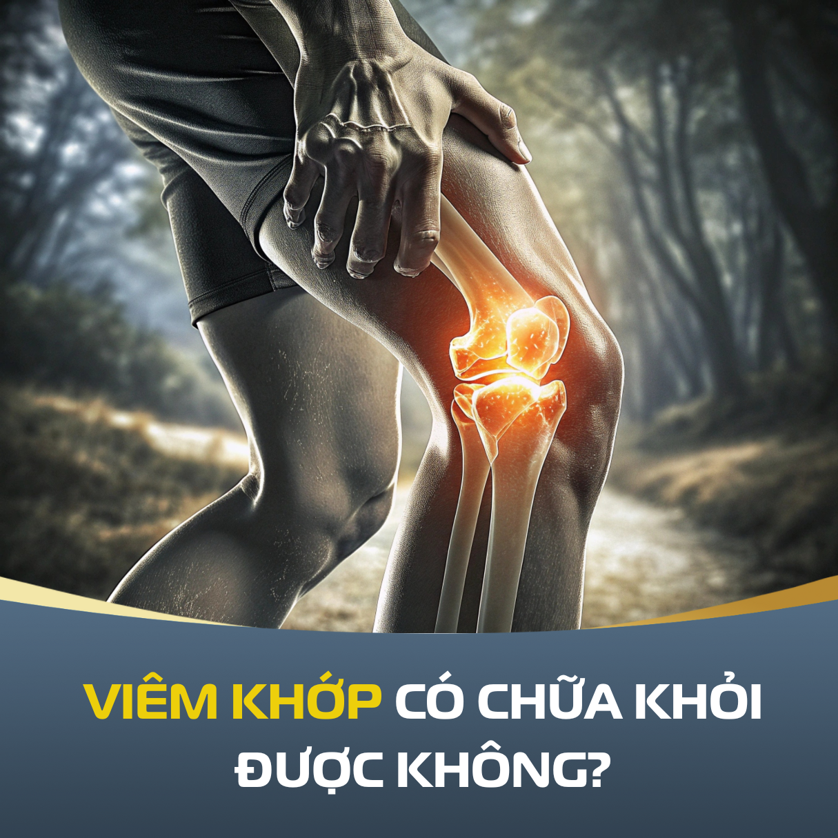 Viem Khop Co Chua Duoc Khong