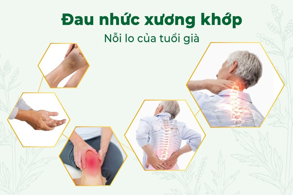 Giam Noi Lo Dau Nhuc Co Xuong Khop Voi Bi Quyet Tu Duoc Nam Ha