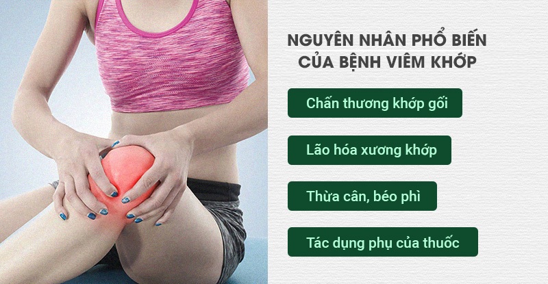 Nguyen Nhan Gay Viem Khop